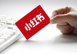 小红书有多少冠军账号啊(小红书土豪排名)