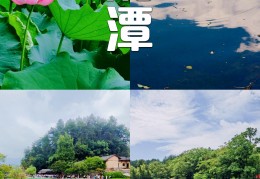 抖音短视频湘潭(沅江抖音短视频)