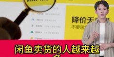 提取闲鱼视频的软件下载(提取闲鱼视频的软件下载安装)