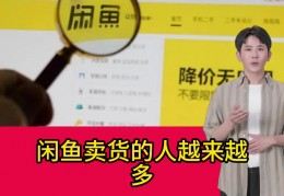 提取闲鱼视频的软件下载(提取闲鱼视频的软件下载安装)